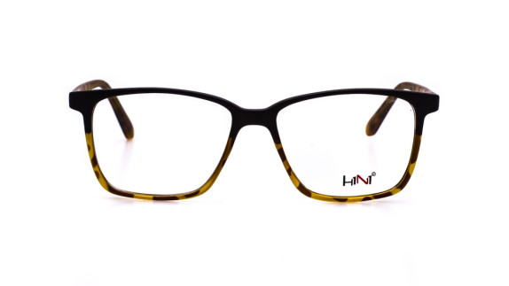 H1N1 HF2010 3