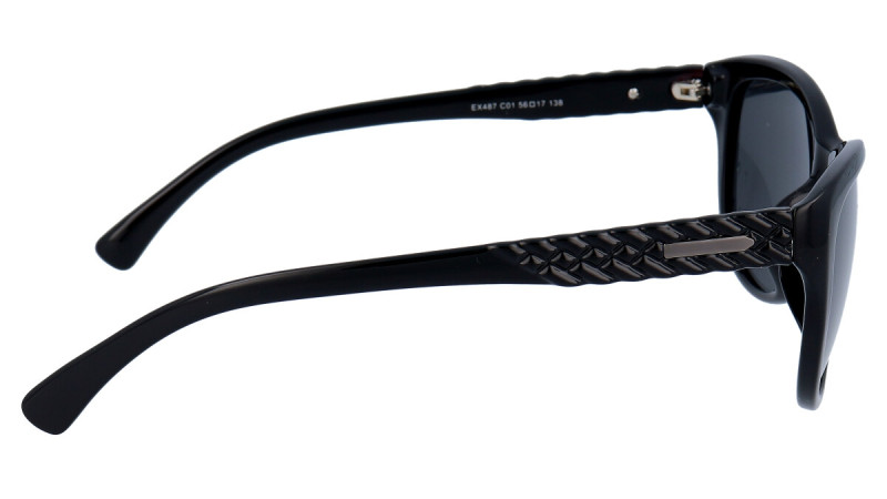 EXCCES EX487 01