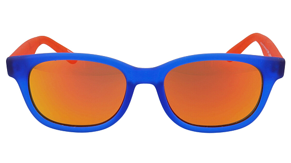 NEW YORK YANKEES NY IS014 C07