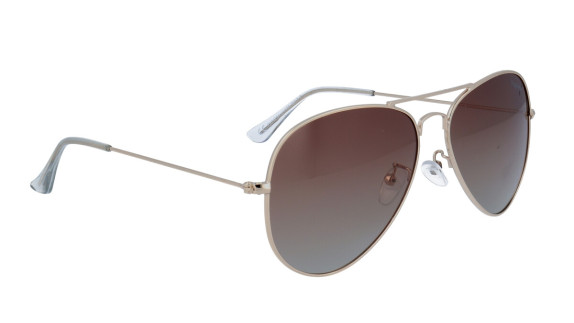 POLARVIEW PV3420A