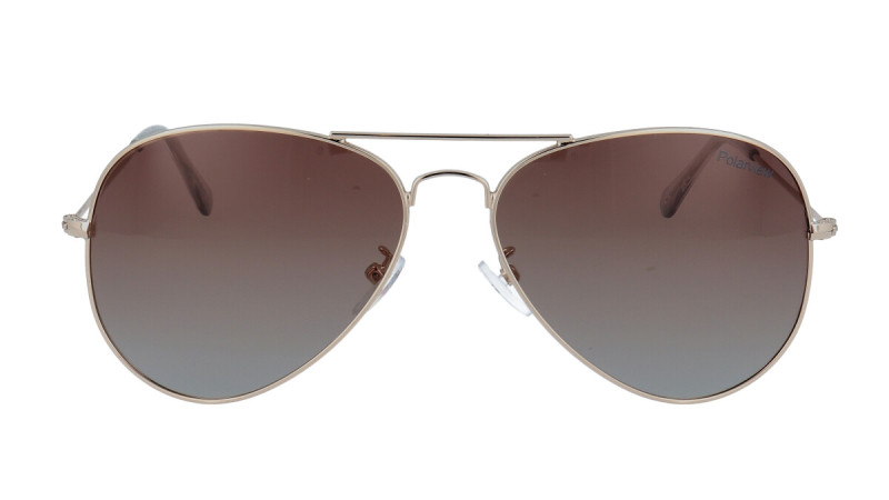 POLARVIEW PV3420A