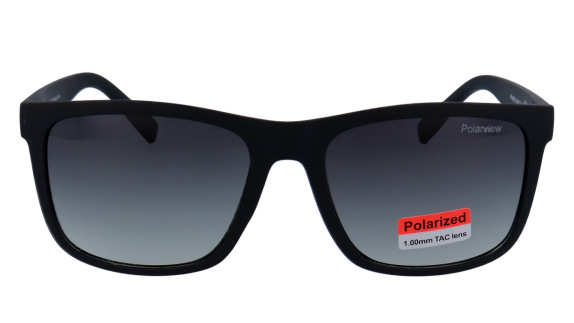 UNITED VISION PV4630