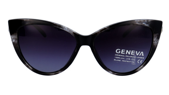 GENEVA GV 20D