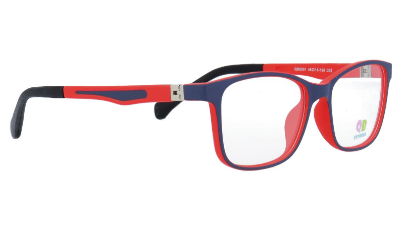 QB5001 C5