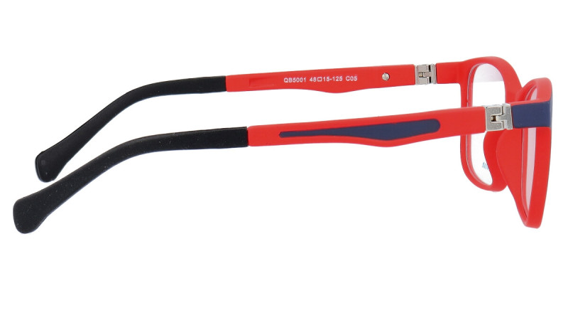 QB5001 C5
