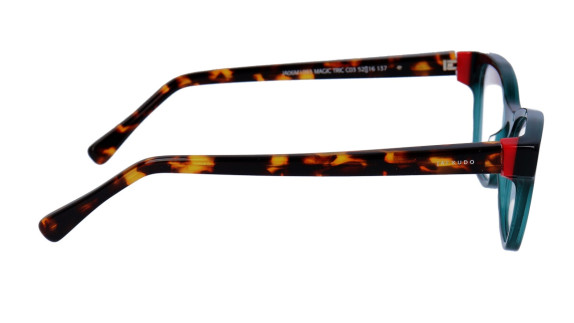 JAI KUDO JA06M1093 C03