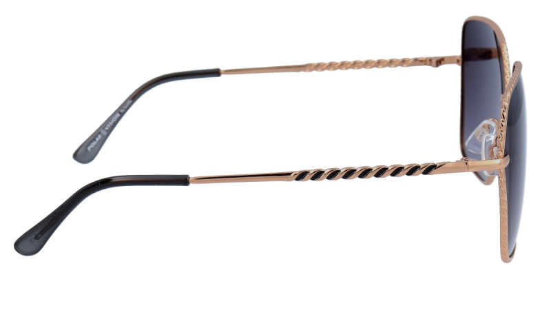 POLAR VISION PV10051A