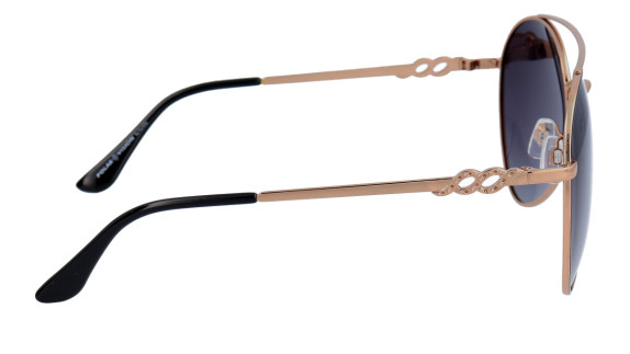 POLAR VISION PV10050A