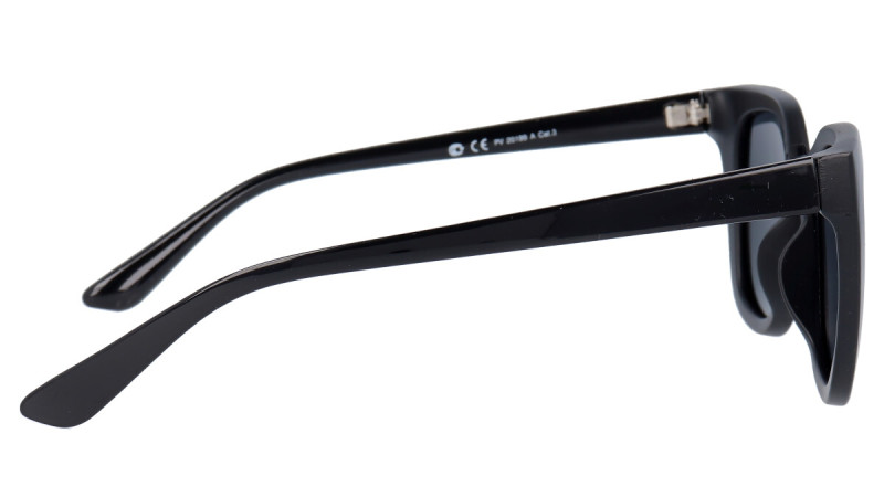 POLAR VISION PV 2199 A