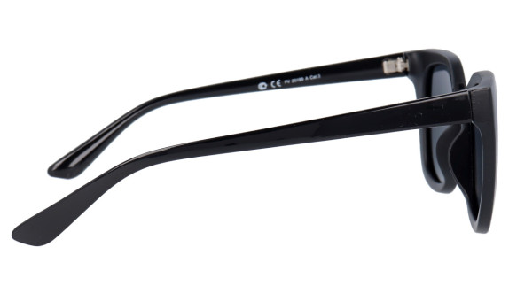 POLAR VISION PV 2199 A