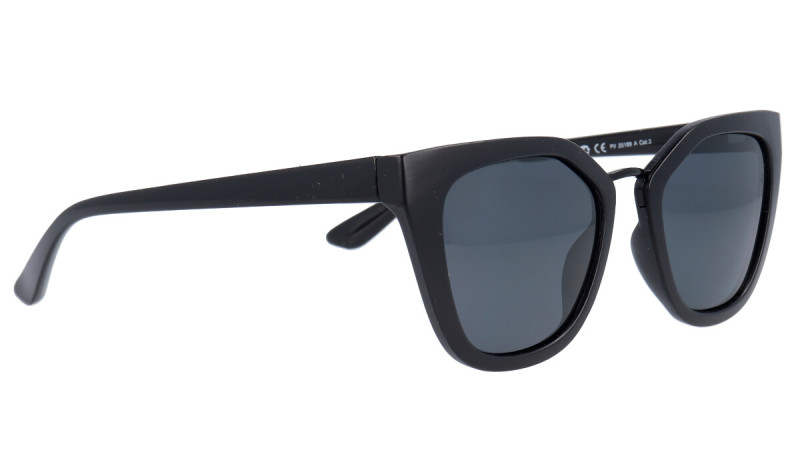 POLAR VISION PV 2199 A