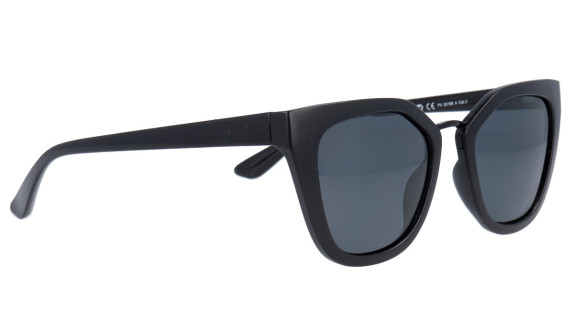 POLAR VISION PV 2199 A