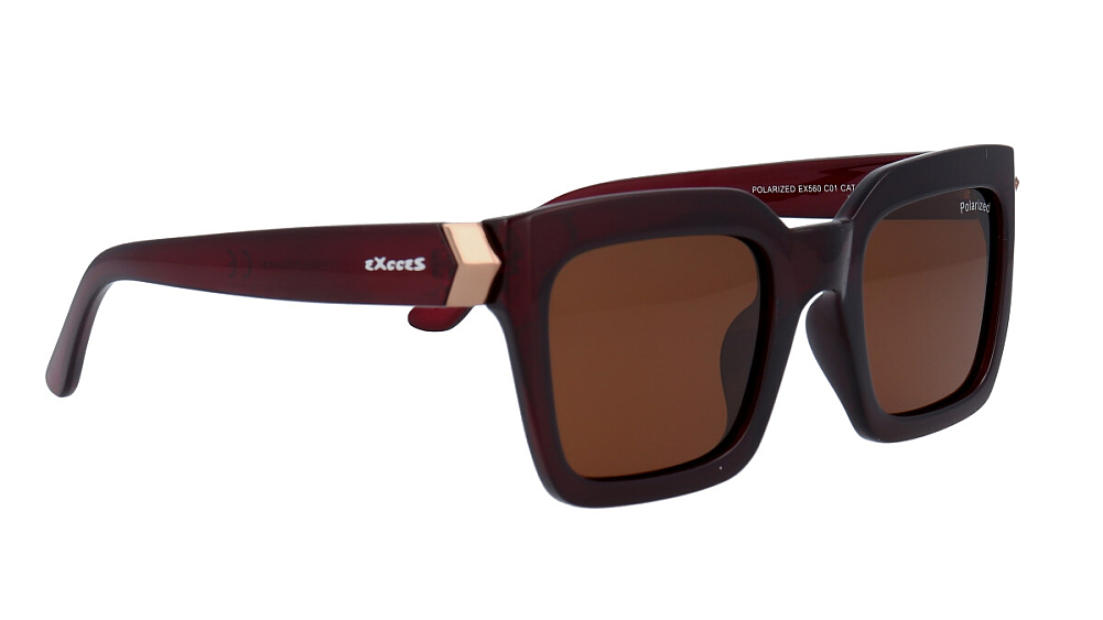 TOPGAN EXCCES EX560 01