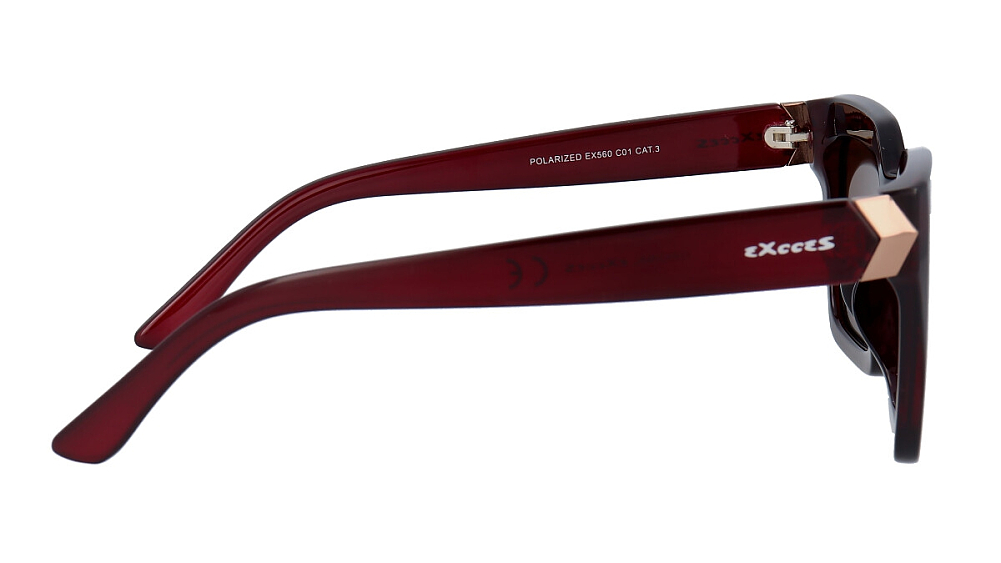 TOPGAN EXCCES EX560 01