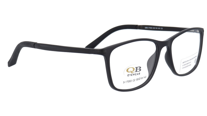 QB5-17003 2