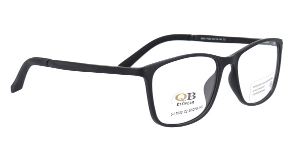QB5-17003 2