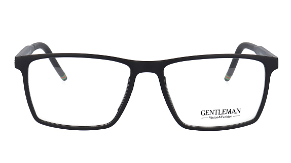 GENTLEMAN FA05-08 C01