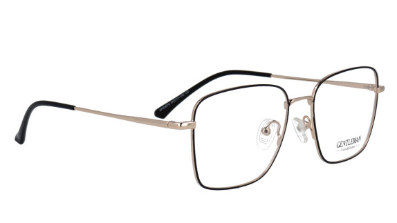 GENTLEMAN DP33070 C2