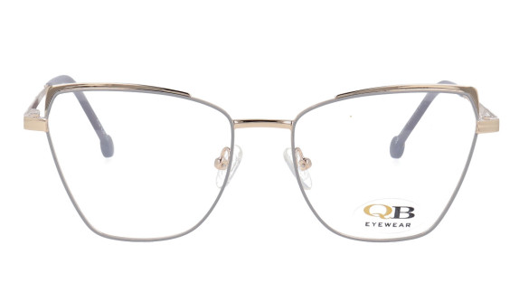 QB-YC8061 C5
