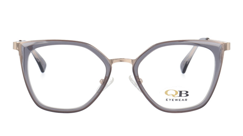 QB MS8180 C5