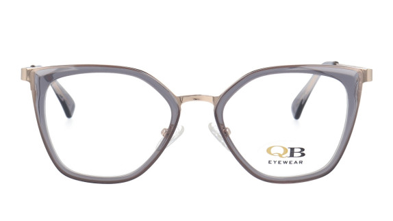 QB MS8180 C5