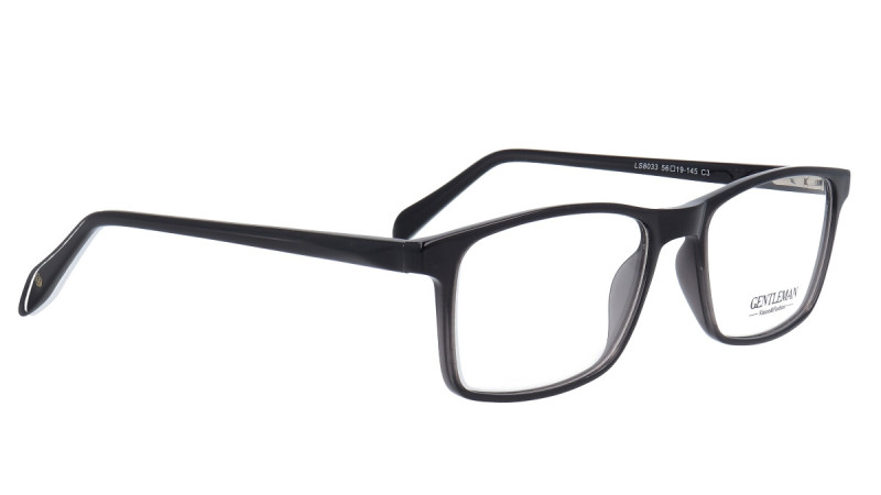 LS8033 C3