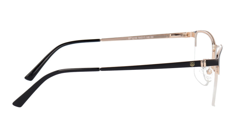 DP33102 C2