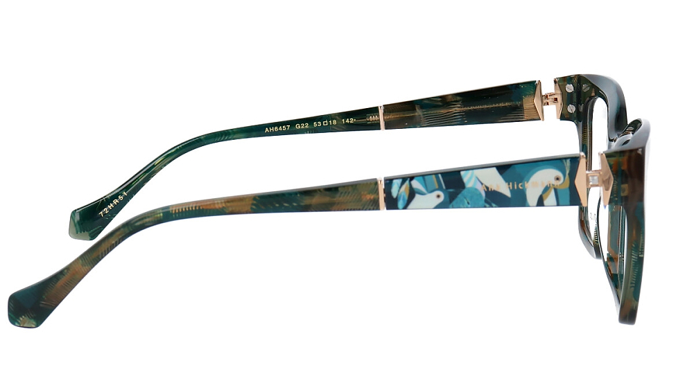 ANA HICKANN AH6457 G22