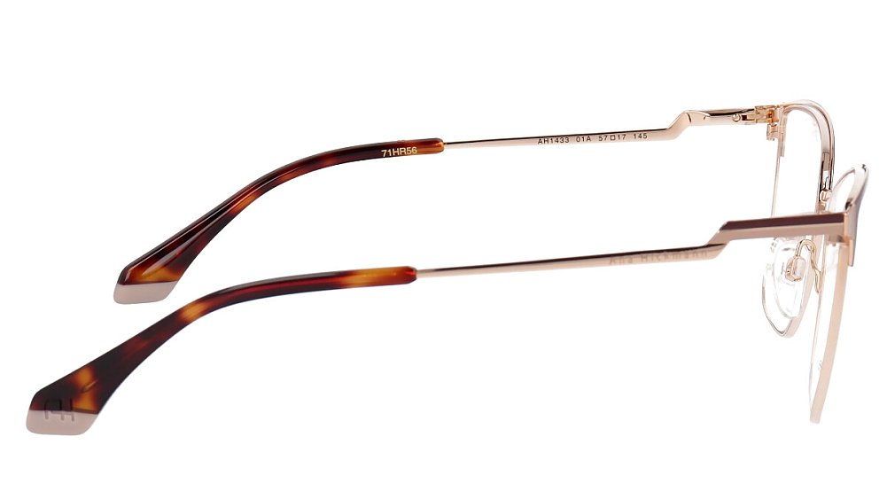 ANA HICKMANN AH1433 01A