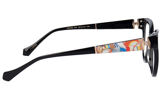 ANA HICKMANN AH6458 A01