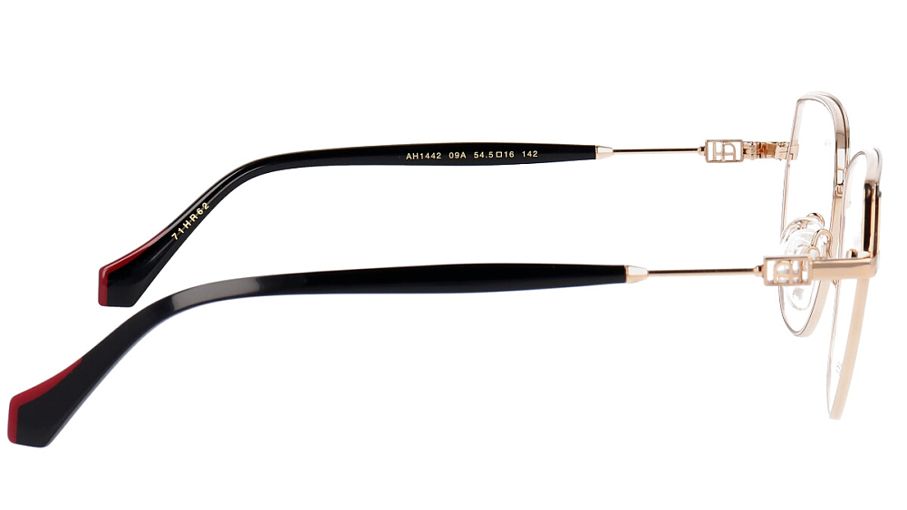 ANA HICKMANN AH1442 09A