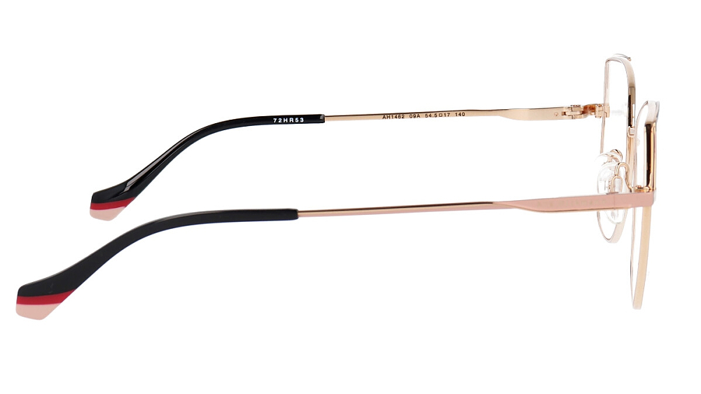 ANA HICKMANN AH1462 09A