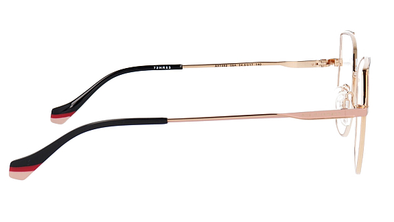 ANA HICKMANN AH1462 09A
