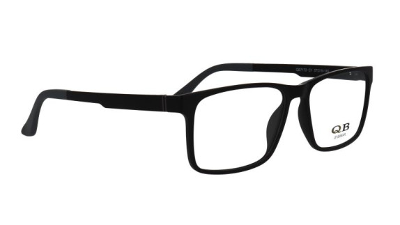 QB 7170 C1