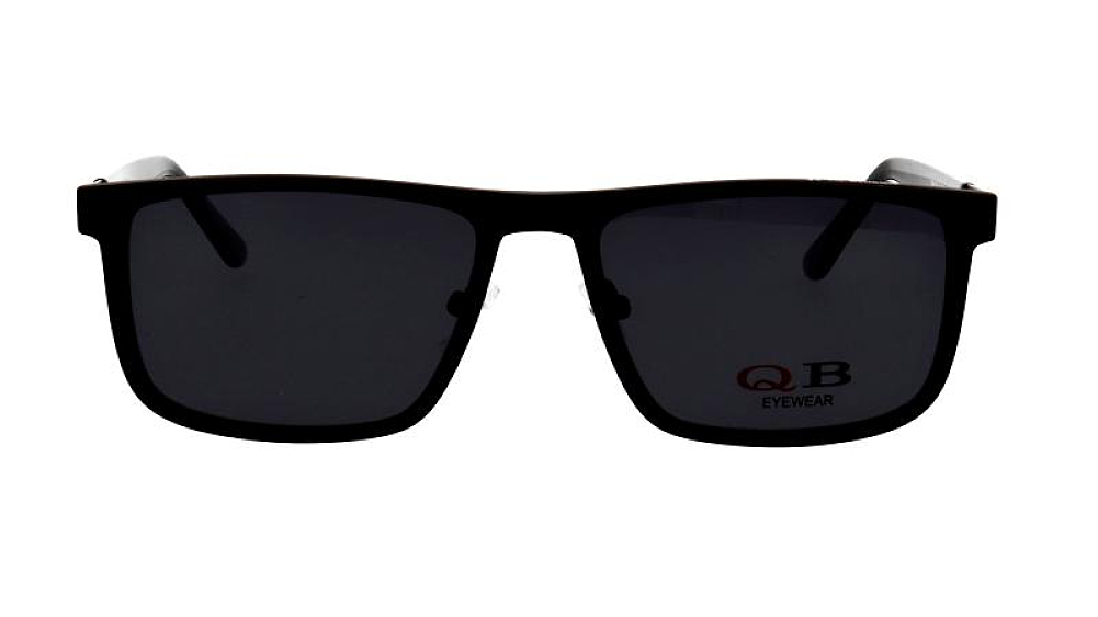QB 8029 C1