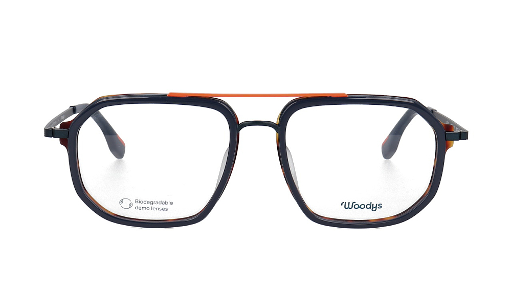 WOODYS HEGEL 04