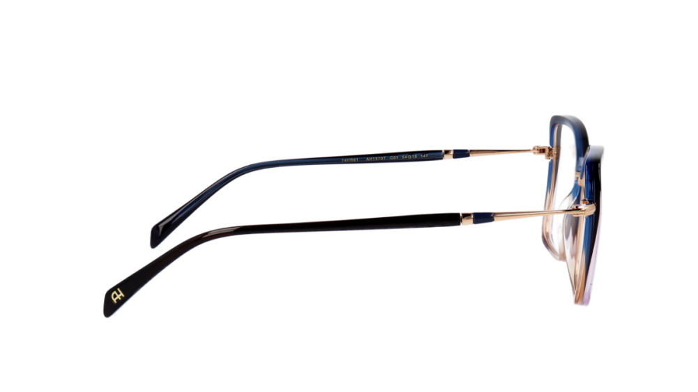 ANA HICKMANN AH1570T C01