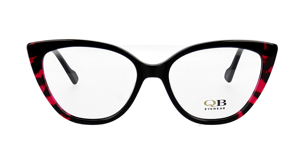QB-FP2088 C1 QB-FP2088 C1