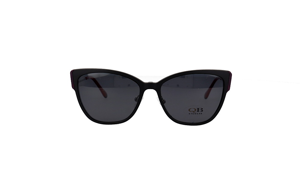 QB-V3173 C2 QB-V3173 C2